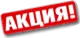 101 Тюльпан