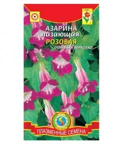 Азарина лазающая Розовая