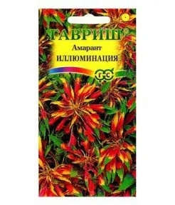 Амарант Иллюминация