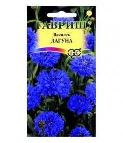 Василек Лагуна синий