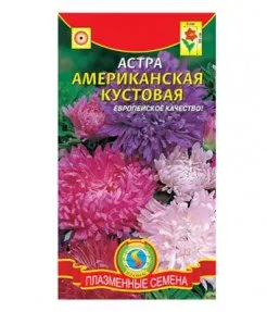 Астра Американская кустовая смесь