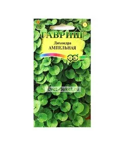 Дихондра ампельная