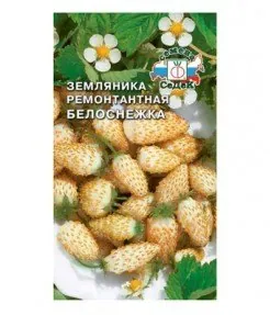 Земляника Белоснежка