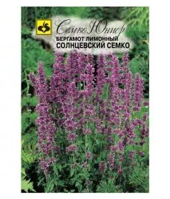 Бергамот лимонный Солнцевский