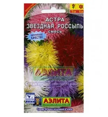 Семена- Астра зведная россыпь
