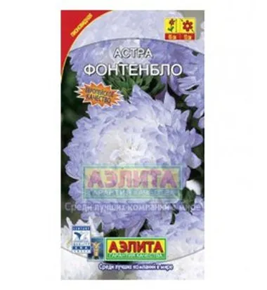 Семена- Астра Фонтебло пионовидная