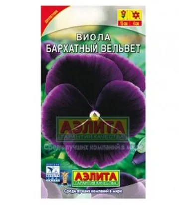 Виола Бархатный вельвет