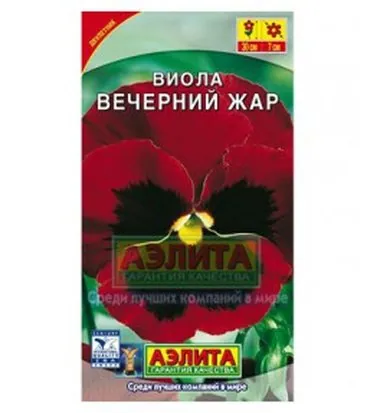 Виола Вечерний жар
