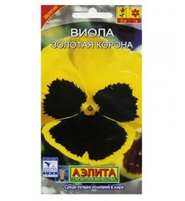 Виола Золотая корона