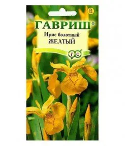 Ирис болотный